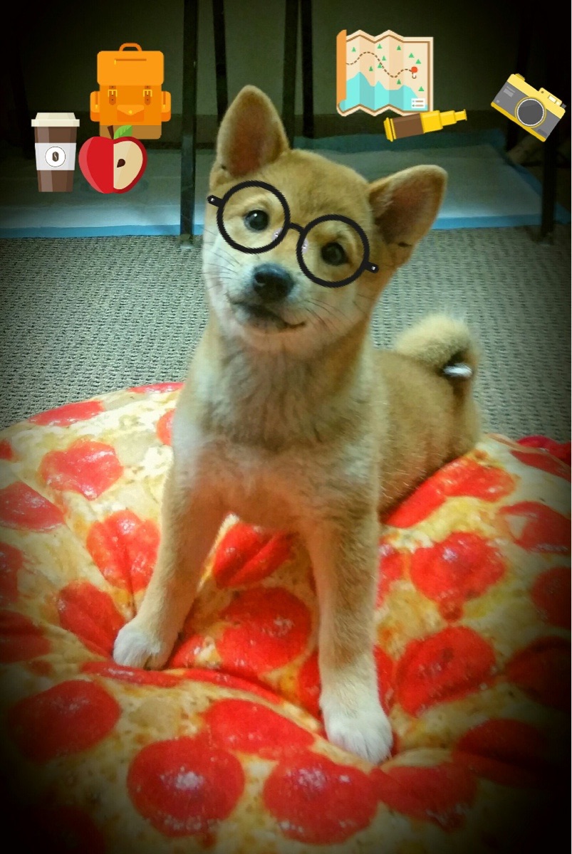 史诗级横扫与准四双之夜，2003年马刺如何以最优雅的方式终结篮网时代寂静的统治力—重析2003年马刺总决赛横扫篮网背后的技术性绞杀与时代隐喻