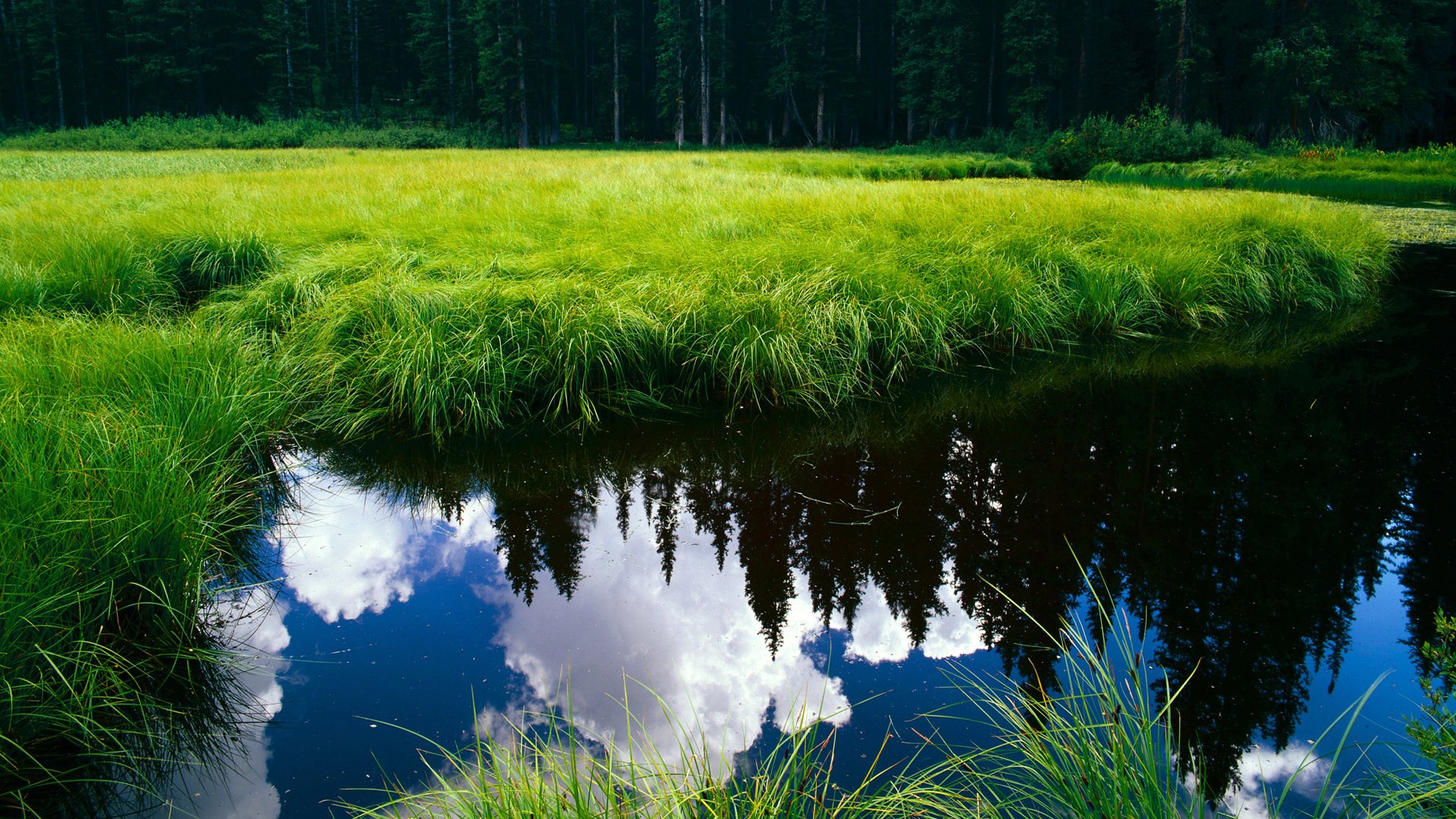 防守铁壁与输出引擎，老鹰锁死太阳的战术密码，字母哥稳定输出的不败神话