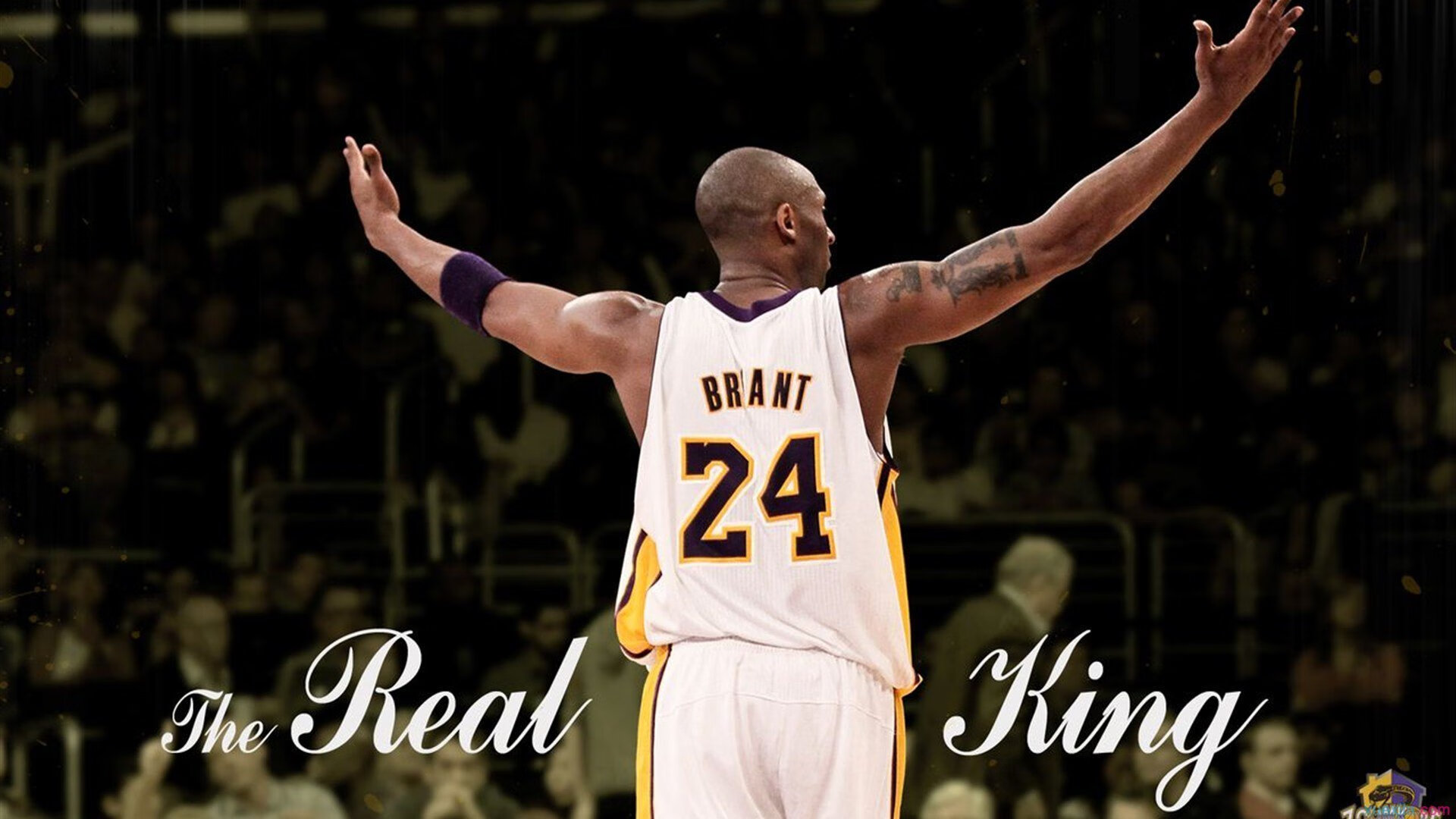 从争议到救赎，乔治绝杀锁定胜局，北京队主场力克灰熊