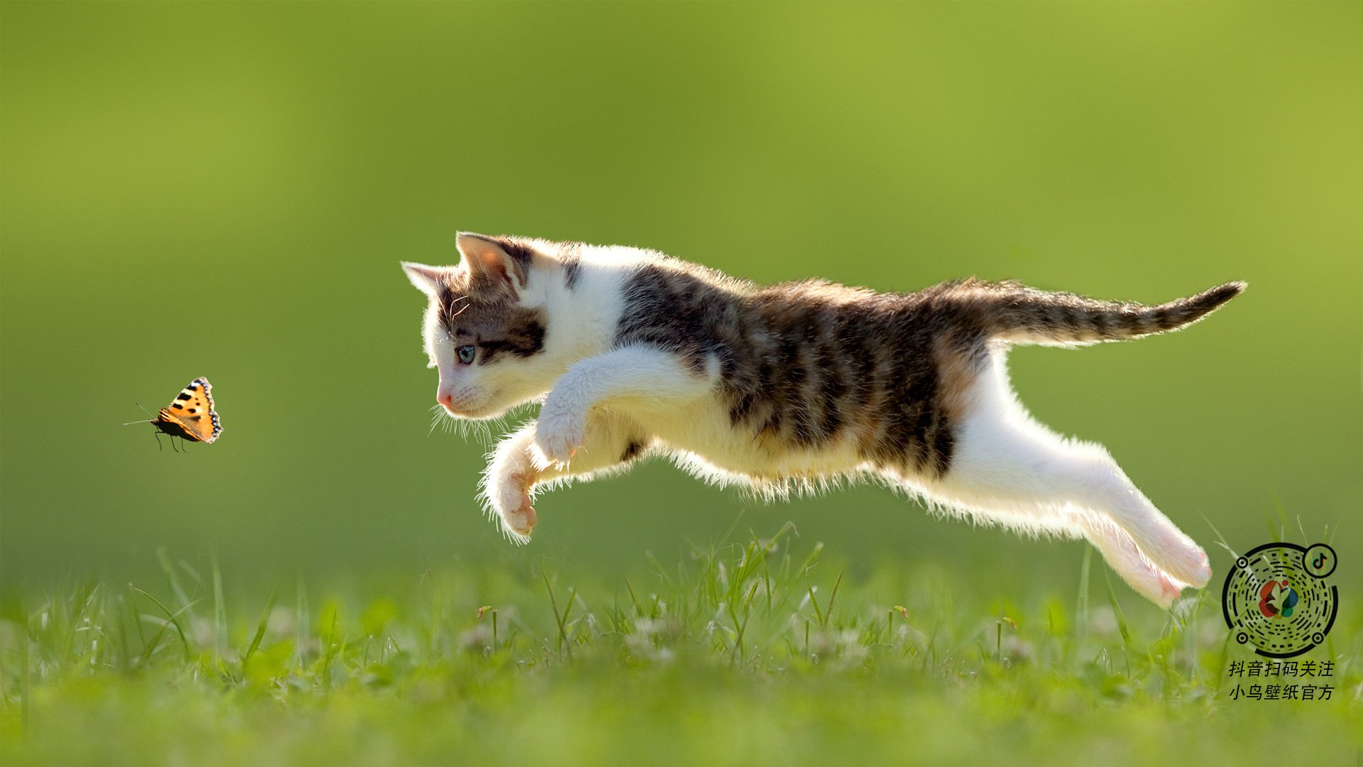 世界杯之夜诞生最意外数据单，当霍勒迪的名字响彻1.2亿人的狂欢