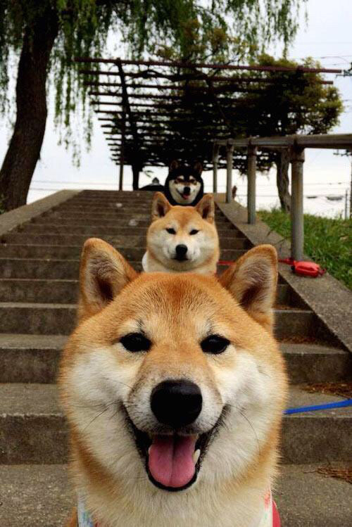 当东决的窒息感席卷意甲，那不勒斯用一场非典型胜利正面击溃尤文图斯