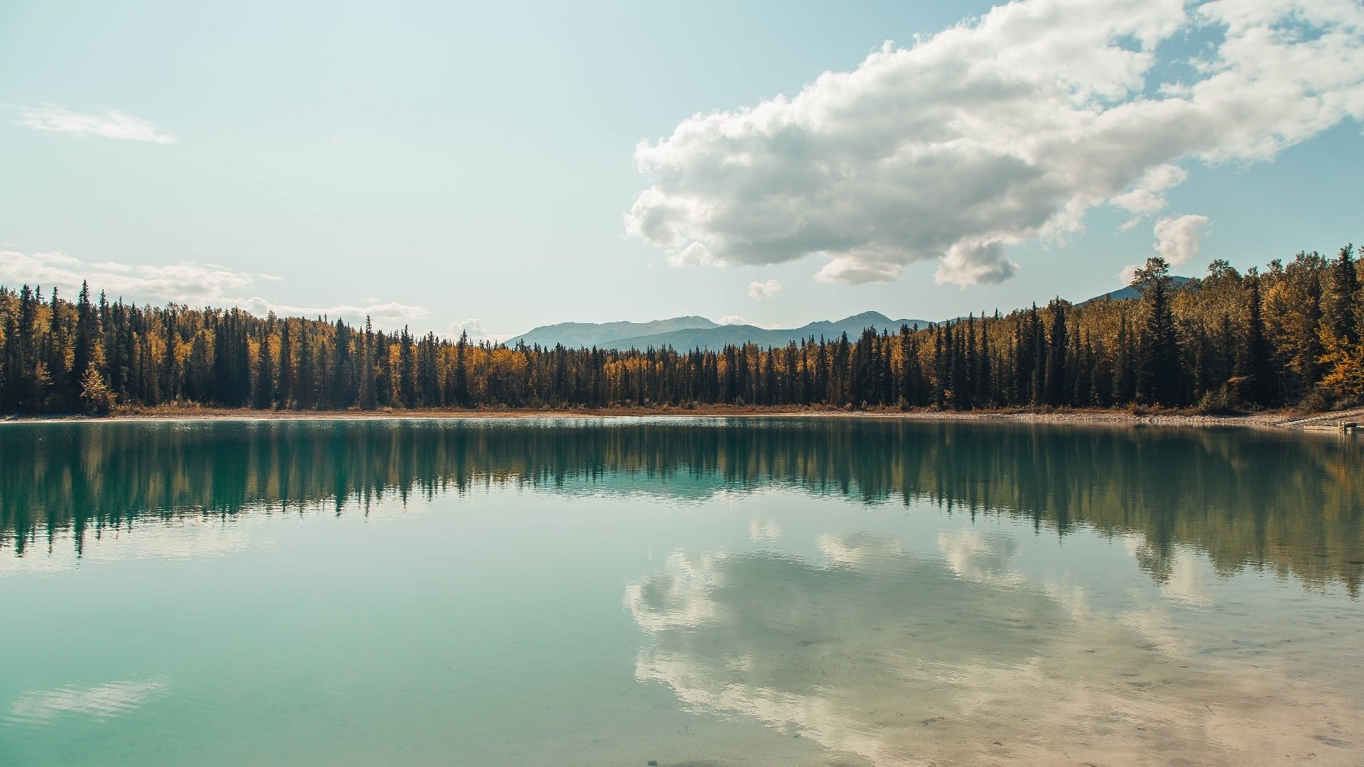 冰与火之歌，当武切维奇以暗影姿态切割鹈鹕的天空