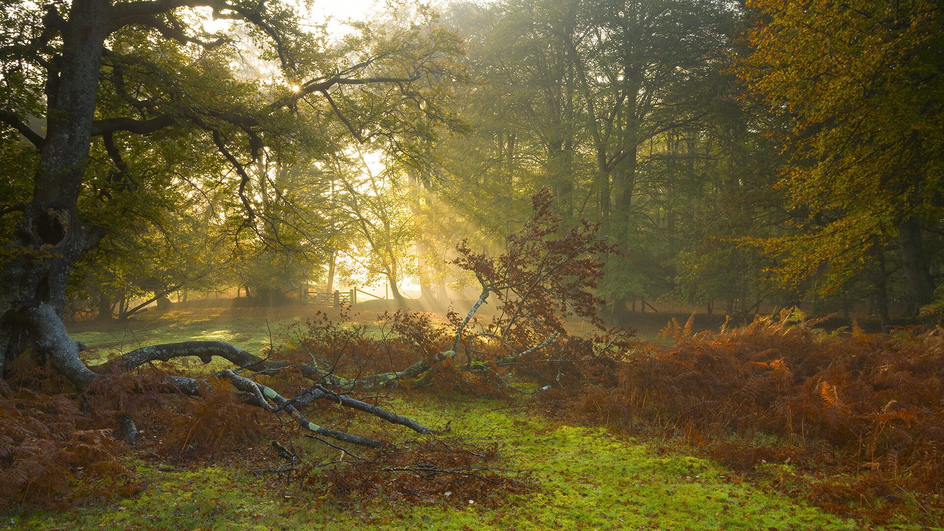 逆折命运的手腕，骑士绝杀山西队