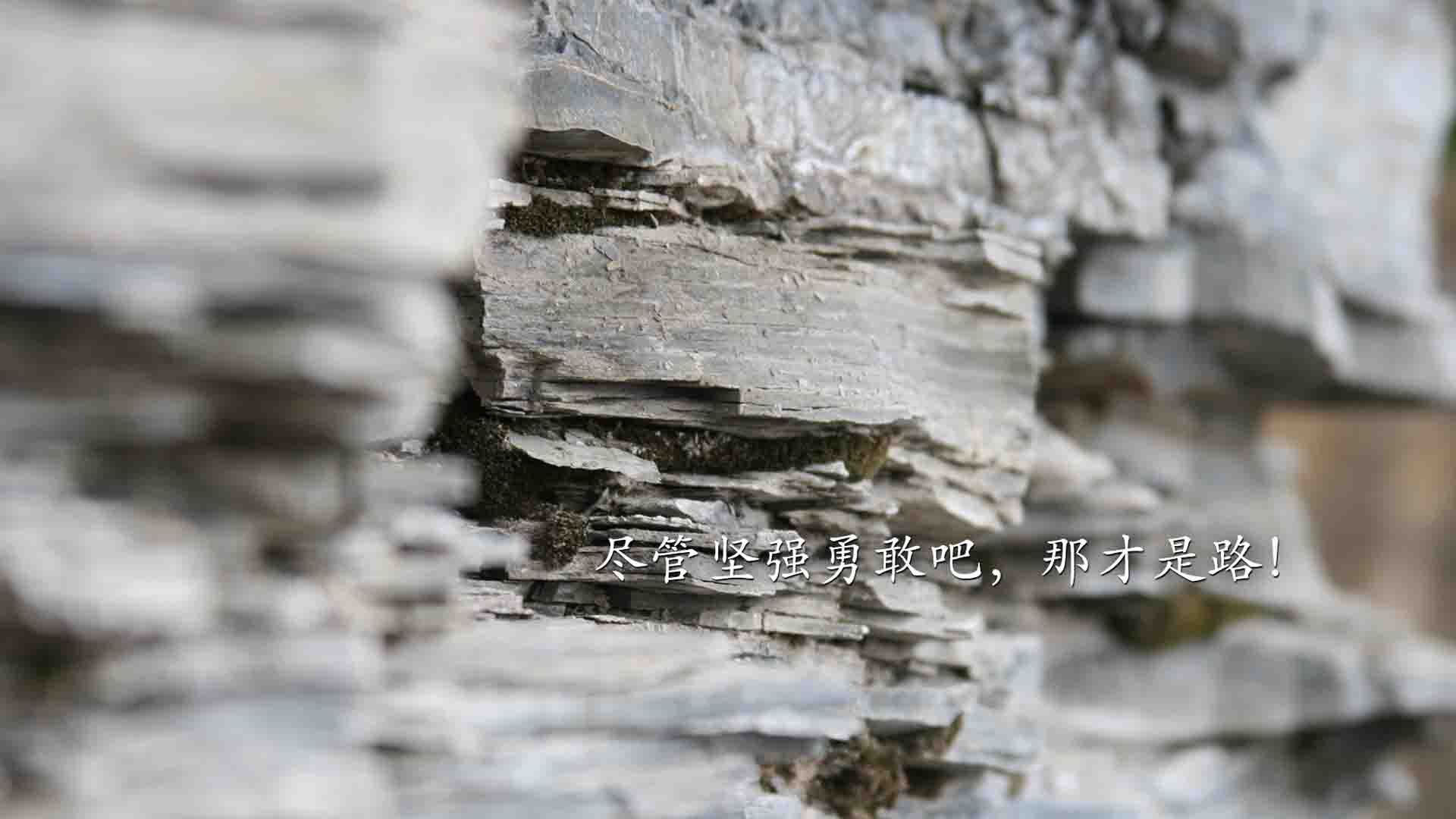 唯一之战,2026世界杯巅峰对决,B费压哨绝杀铸就捷克不朽传奇