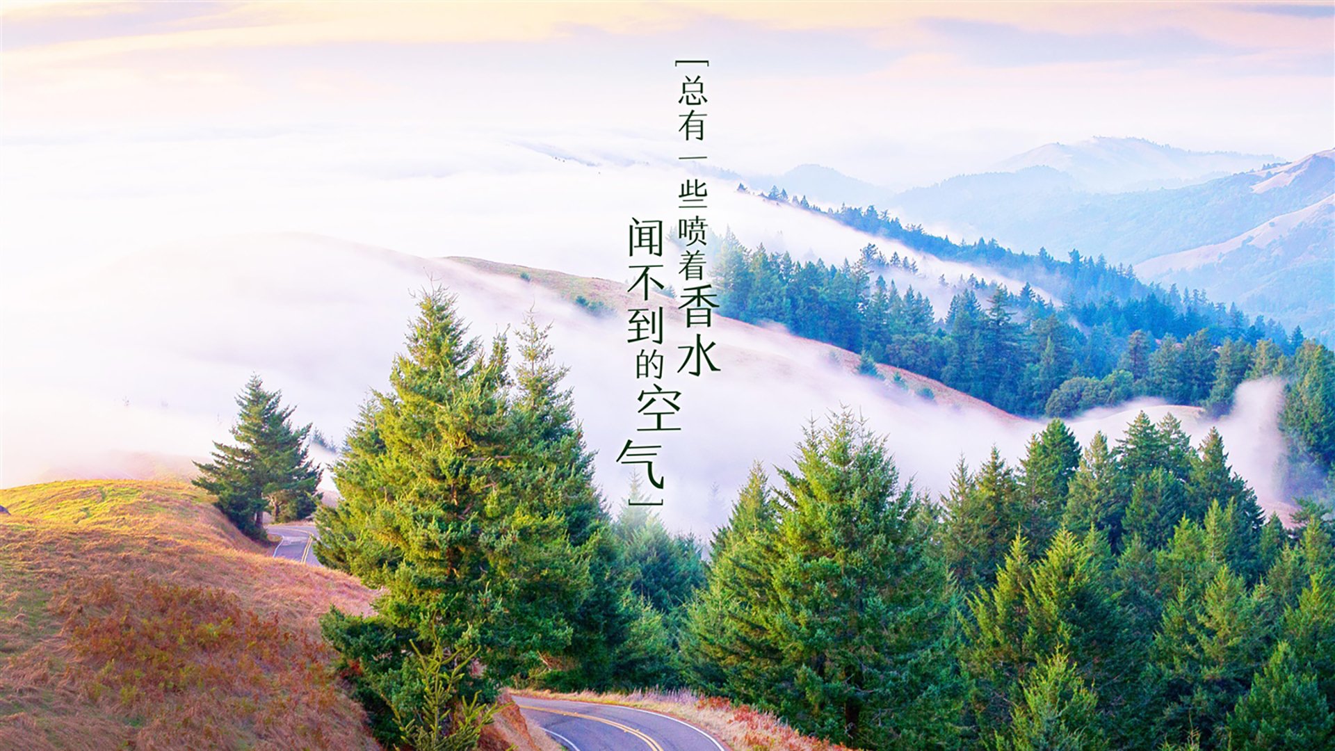 沙漠绿军掀翻铁血军团，范戴克封神之夜，阿联酋如何用唯一的巨人改写世界杯剧本